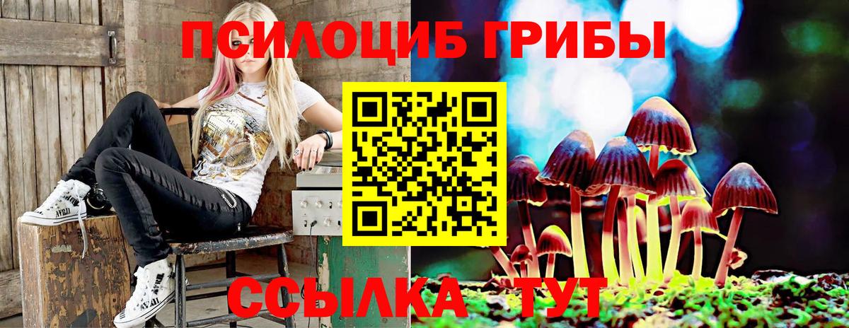 Псилоцибиновые грибы мухоморы  цены наркотик  Павлово  Галлюциногенные грибы Psilocybe  Вход с VPN 